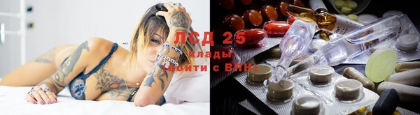 спиды Бронницы